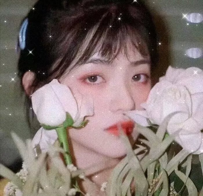 生死决断