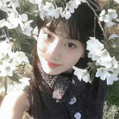 名门绅士之暮雪情钟
